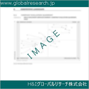 グローバルリサーチ調査資料のイメージ